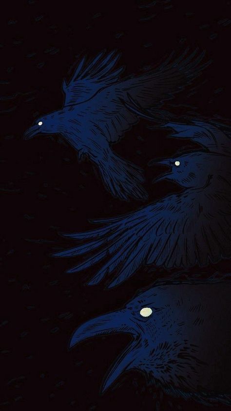 Premium Wallpaper, 2160x3840 Wallpaper, Crow Art, Raven Art, Graphic Poster Art, Backgrounds Phone Wallpapers, Wallpaper Collection, You Know It, Epic Art