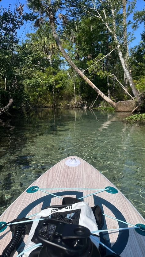 #paddleboarding #springs #Florida #summer Florida Springs Aesthetic, Paddle Boarding Florida, Florida Springs, Springs Florida, Birthday Trip, First Apartment, Spring Aesthetic, Paddle Boarding, Mehndi Designs