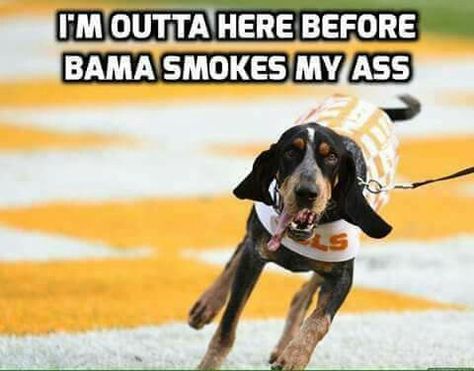 ALABAMA Football vs Tennessee Alabama Vs Tennessee, Tennessee Mascot, Week Name, Blue Tick, Georgia Girls, Go Vols, Alabama Crimson Tide Football, Sporty Spice, Sports Website