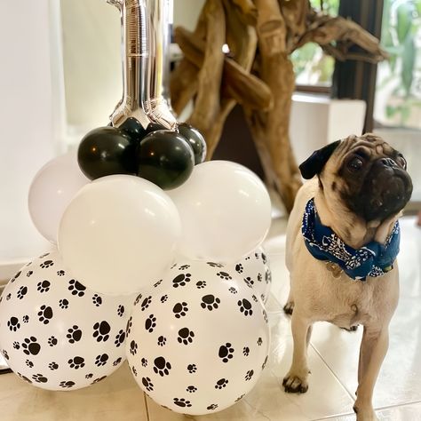 Paw Balloons 50 pcs 12 Inch White Paw Print Latex Balloons For Dog Themed Party Decorations Birthday Dog Themed Party, Puppy Pawty, Dog Themed Parties, Balloon Garland Diy, Parties Ideas, Garland Diy, Dog Themed, Booth Design, Balloon Garland