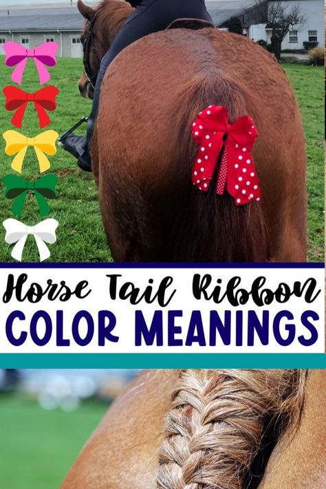 Have you ever been to a barn or a horse show and noticed a ribbon tied in any of the horses' tails? You might have thought that this ribbon was a fancy decoration, but the reality is that horse rail ribbon colors have very specific (and important!) meanings. Read this article on our blog to learn about the different tail ribbon colors and what they symbolize. #horses #pony #equestrian #horseshow #thegingerbreadpony Ribbon Color Meanings, Ribbon Meaning, Horse Tail, Color Meanings, Horse Show, A Barn, Summer Activities For Kids, Show Horses, Ribbon Colors