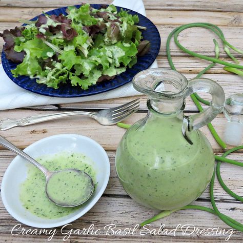 Creamy Garlic Basil Salad Dressing https://www.annmariejohn.com/creamy-garlic-basil-salad-dressing Basil Salad Dressing, Salad Dressing Recipes Balsamic, Creamy Basil Dressing, Garlic Shoots, Garlic Salad, Garlic Salad Dressing, Easy Salad Dressing Recipes, Basil Salad, Salad Dressing Recipes Healthy