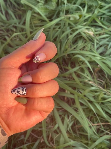 Green and cute cow nails Cow Nails, Cute Cows, Class Ring, Cow, Nails, Green