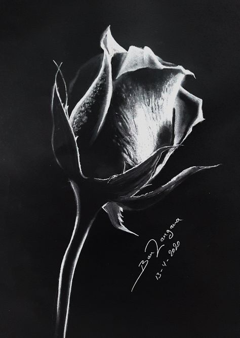 Black Canvas Art, Scratchboard Art, Black Canvas Paintings, Black Paper Drawing, Pen Art Drawings, Black And White Art Drawing, Charcoal Art, Beauty Art Drawings, Black And White Painting