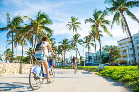 Actually Cool Things to Do in Miami Right Now - Thrillist Beach Promenade, Coral Castle, Tips For Traveling, Iconic Art, Traveling Abroad, Valley Of Fire, Where To Travel, Ocean Drive, Us Destinations