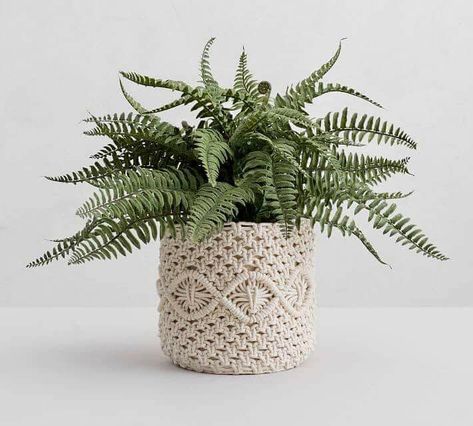 Macrame Plant Pot Cover, Macrame Pot Cover, Basket Styling, Planters Pottery, Macrame Basket, Crochet Doily Rug, Mill House, Macrame Planter, Makramee Diy