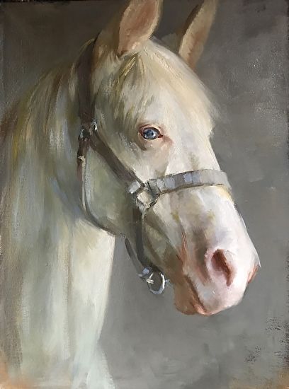 Katherine Galbraith - The White Horse- Oil - Painting entry - November 2018 | BoldBrush Painting Competition Horse Portrait Painting, White Horse Painting, Painting Horses, Horse Canvas Painting, Simple Oil Painting, Oil Painting Tips, Horse Oil Painting, Oil Painting Background, Painted Horses