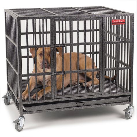 ProSelect Empire Cages  Medium >>> You can get additional details at the image link.-It is an affiliate link to Amazon. #dogcratescageshouses Metal Dog Cage, Heavy Duty Dog Crate, Airline Pet Carrier, Crate Training Puppy, Dog Toys Indestructable, Dog Crates, Large Dog Crate, Pet Kennels, Steel Cage