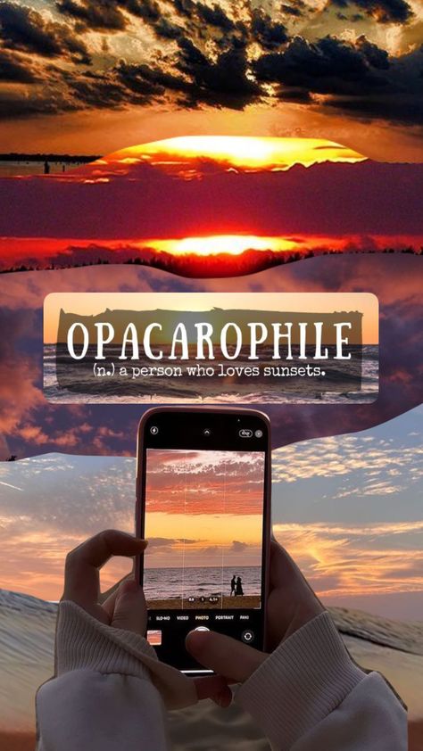 LOVER OF SUNSETS #opacarophile #sunsetaesthetic #aestheticwallpaper #iphone Beach Logos, The Sun Also Rises, Beach Logo, Unusual Words, Connect With People, Your Aesthetic, Creative Energy, Inspirational Words, Aesthetic Wallpapers