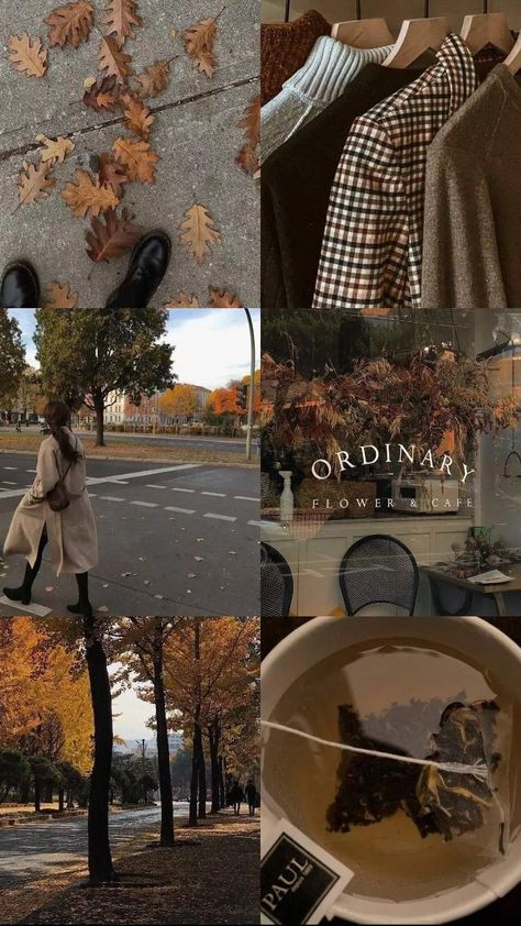 Autum Insta Story Ideas, Autumn Story Ideas, Fall Aesthetic Instagram Story, Autumn Instagram Photos, 5am Aesthetic, Fall Mood Board Aesthetic, Autumn Instagram Feed, Fall Vibes Wallpaper, Autumn Instagram Story