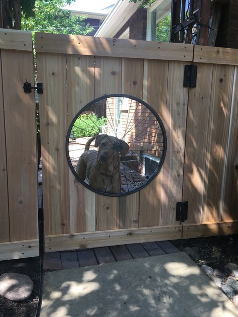 Repurposed bicycle wheel is now the center of the new gate I built. Garden Gate Design, Dog Window, Bicycle Rims, Wheel Decor, Backyard Fences, Wooden Fence, Backyard Projects, Fence Design, Garden Gates