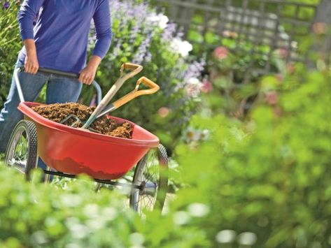 Stock your shed with basic gardening tools to make yard maintenance a breeze. Check out this list of the best must-have garden tools for every gardener. Wheelbarrow Planter, Best Garden Tools, Yard Maintenance, Garden Cart, Pole Beans, Home Vegetable Garden, Tool Sheds, Garden Pests, Garden Soil