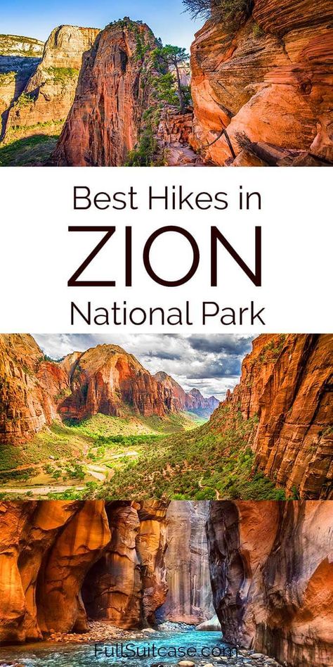 Hikes In Zion National Park, Zion Hikes, Zion National Park Photography, Zion National Park Hikes, Utah Vacation, Zion Canyon, Southwest Usa, Utah Road Trip, Zion National Park Utah