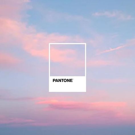 PANTONE en Instagram: “Joined together, Pantone Color of the Year 2016 Rose Quartz and Serenity demonstrated an inherent balance between a warmer embracing rose…” Rose Quartz And Serenity, Pantone Swatches, Rose Quartz Serenity, Candy Clouds, Pantone Palette, Pantone Colour Palettes, Cotton Candy Clouds, Pantone Color Of The Year, Cat Air