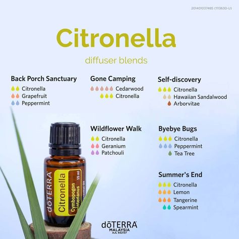 Citronella Essential Oil Diffuser Blends, Bug Repellent Diffuser Blend, Citronella Diffuser Blend, Citronella Essential Oil Blends, Doterra Citronella, Essential Oil Bug Repellent, Doterra Diffuser, Doterra Diffuser Blends, Citronella Essential Oil