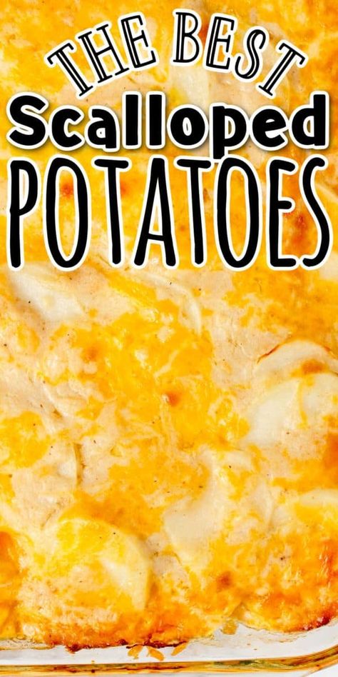 Scalloped Potatoes With Cheese, Scalloped Potatoes With Cream, Baked Scalloped Potatoes, Bee Repellent, Potatoes With Cheese, Cheese Scalloped Potatoes, Scalloped Potato Casserole, Homemade Scalloped Potatoes, Cheesy Scalloped Potatoes Recipe