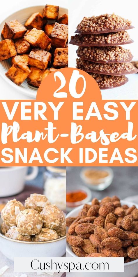 Vegan Snack Ideas, Vegan Protein Snacks, Vegan Snacks On The Go, Raw Vegan Snacks, Diet Diary, Cheap Vegan, Vegan Snack Recipes, Plant Based Desserts, Plant Based Snacks