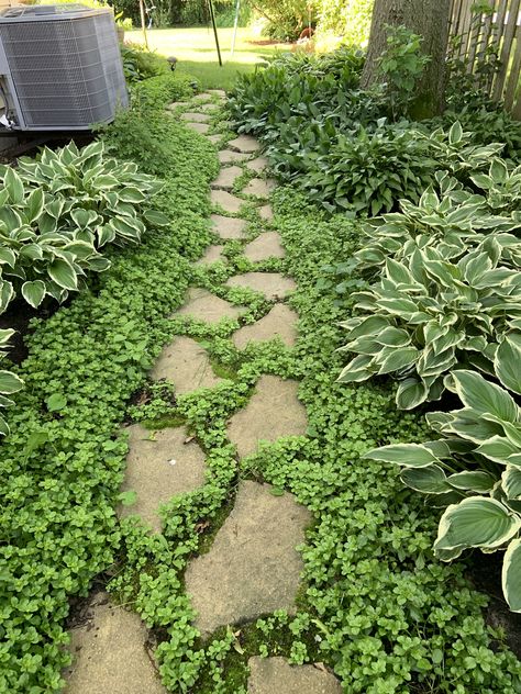 Shady Side Yard Ideas, Shade Side Yard, Side Yard Pathway Ideas, Stepping Stones Pathway, Side Yard Ideas, Side Yard Garden, Patio Walkway, Backyard Garden Beds, Garden Pathways