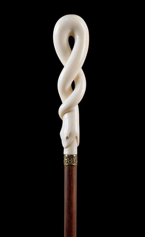 Snake Wand, Snake Stick, Hantverk Diy, Hand Carved Walking Sticks, Wooden Walking Canes, Witch Wand, Canes And Walking Sticks, Cane Stick, Wizard Wand