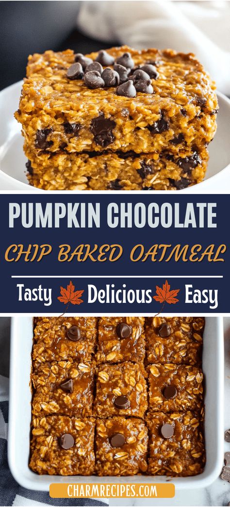 PUMPKIN CHOCOLATE CHIP BAKED OATMEAL Pumpkin Baked Oatmeal Recipes, Pumpkin Chocolate Chip Oatmeal Bars, Quick Breakfast For A Crowd, Pumpkin Oatmeal Bake, Baked Steel Cut Oatmeal, Chocolate Chip Baked Oatmeal, Pumpkin Baked Oatmeal, Oatmeal Baked, Oatmeal Dessert