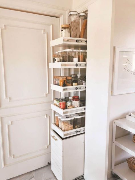 Pantry Organization Diy, Small Pantry Cabinet, Narrow Pantry, Closet Design Ideas, Tiny Pantry, Pantry Closet Design, No Pantry Solutions, Deep Pantry, Diy Pantry Organization