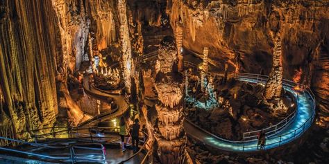 Cave Creatures, Fairfield Bay Arkansas, Ozark National Forest, Best Places To Propose, Best Rv Parks, Best Places To Vacation, Salamanders, Hiking Spots, The Cave