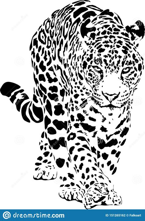 Leopard Illustration, Regard Animal, Tiger Tattoo Design, Black And White Leopard, Leopard Art, Animal Humour, Tiger Tattoo, White Leopard, Animals Artwork