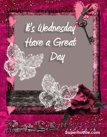 Wednesday Have A Great Day, Wednesday Gifs, Wednesday Gif, Wednesday Greetings, It's Wednesday, Good Morning Wednesday, Happy Wednesday Quotes, The Wednesday, Wednesday Quotes