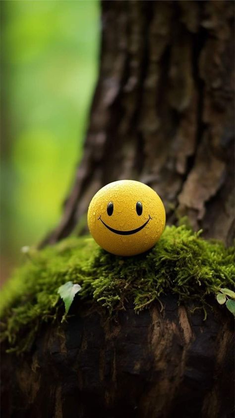 Camera Shots And Angles, Buddha Wallpaper Iphone, Buddha Wallpaper, Forest Clearing, Cool Galaxy Wallpapers, Smile Wallpaper, Diy Rock Art, Yellow Smiley Face, Android Wallpaper Art