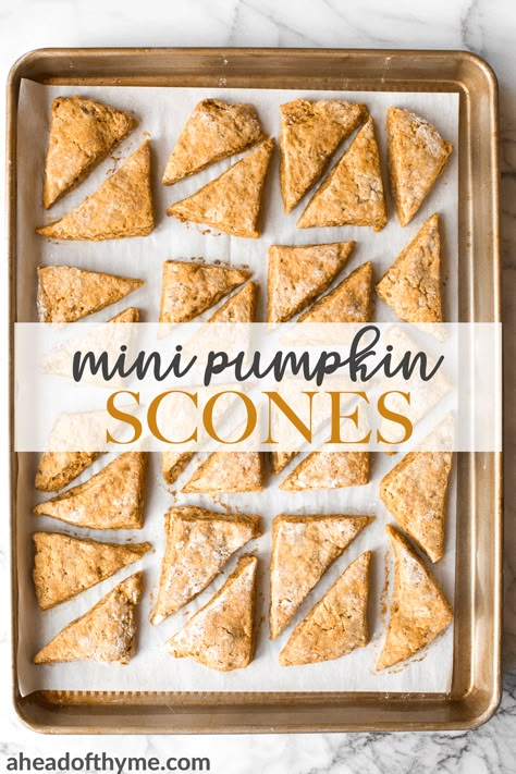 Mini Pumpkin Scones, Halloween Themed Scones, Mini Scones Recipe, Baking Pretzels, Pumpkin Scones Starbucks, Sourdough Discard Biscuits, Discard Biscuits, Pumpkin Pie Easy, Pumpkin Scones Recipe