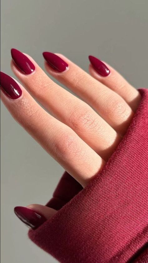 Red Glazed Nails, Nails Vino, Cherry Wine Nails, Clear Gel Nail Polish, Italy Nails, Clear Gel Nails, Chameleon Nails, Dark Red Nails, Wine Nails