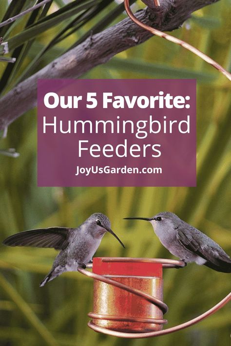 Are you interested in attracting hummingbirds? These hummingbird feeders include amazon hummingbird feeders & etsy hummingbird feeders as well as hummingbird feeder rings & amazon hummingbird accessories for hanging hummingbird feeders. Attract hummingbirds with these best hummingbird feeders, feeders for hummingbirds, glass hummingbird feeders, & plastic hummerbird feeders. Enjoy hummingbirds in the garden! Making Hummingbird Nectar, Make Hummingbird Food, Diy Hummingbird Feeder, Hummingbird Food, Feeding Birds, Hummingbird Nectar, Glass Hummingbird Feeders, Hummingbird Feeder, How Do You Clean