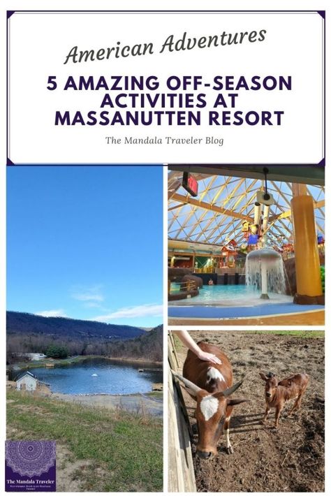 Try These 5 Amazing Off-Season Activities At Massanutten Resort Massanutten Resort, Season Activities, Seasons Activities, Family Vacay, Indoor Waterpark, Shenandoah Valley, Winter Getaway, Small Ponds, Blue Ridge Mountains