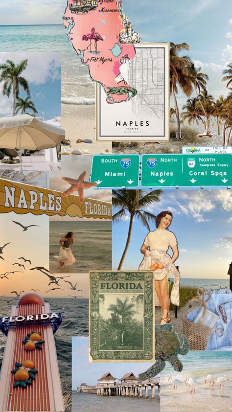 so excited for my trip to florida coming up!! Florida Collage, Florida Wallpaper, Florida Aesthetic, Trip To Florida, Naples Florida, My Trip, Naples, So Excited, Florida