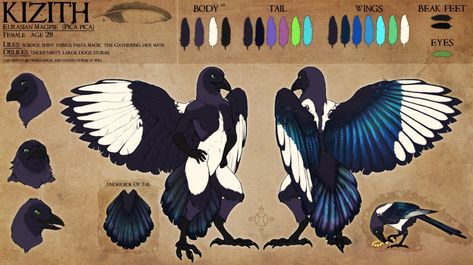 Bird People, Ref Sheet, Anthro Dragon, Creature Concept Art, Creature Concept, Magpie, Online Gallery, The View, Character Concept