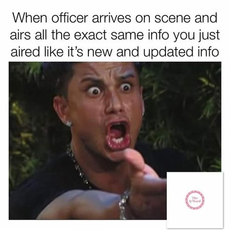 Leo Humor, Dispatcher Humor, Dispatch Humor, Dispatcher Quotes, Cop Humor, Work Related Quotes, Work Funnies, Police Dispatcher, Funny Life Hacks