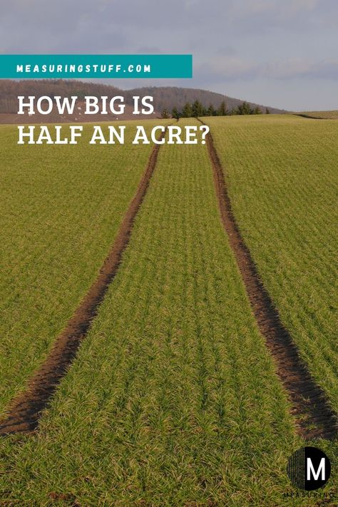 How Big Is Half An Acre? With Examples – Measuring Stuff Half An Acre Backyard Ideas, Half Acre Homestead Layout, Half Acre Backyard Ideas, Homestead Layout, Acre Homestead, Olympic Swimming, Large Yard, Diy Landscaping, Florida Home