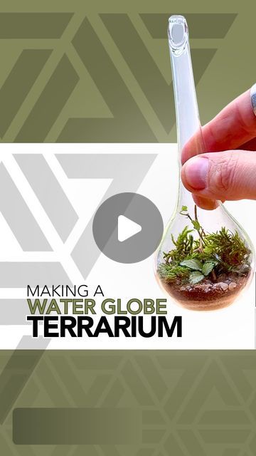 JOHNATHON Q SWANSON on Instagram: "On this episode of will it terrarium…🌱

#tutorial #plants #terrarium #moss #howto #diy #portland" Terrarium Tutorial, Best Terrarium Plants, Terrariums Diy, Plants Terrarium, Terrarium Moss, Water Globes, Garden Terrarium, Terrarium Diy, Terrarium Plants