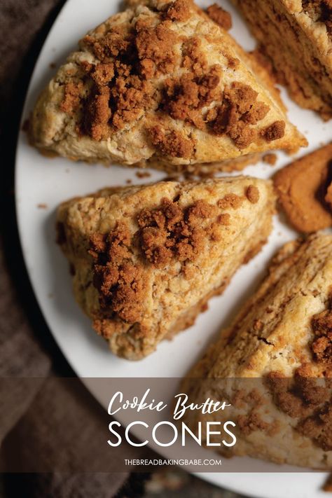 Butter Scones, Biscoff Cookie Recipe, Biscoff Cookie Butter, Scones Ingredients, Biscoff Cookies, Cinnamon Cookies, Cookie Butter, Crunchy Cookies, Cookie Flavors