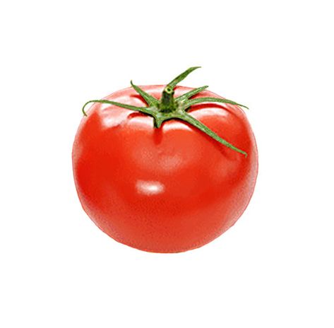 Early Girl Tomatoes, Heirloom Tomato Seeds, Small Tomatoes, Red Tomato, Tomato Seeds, Seed Company, Growing Tomatoes, Organic Seeds, Tomato Plants