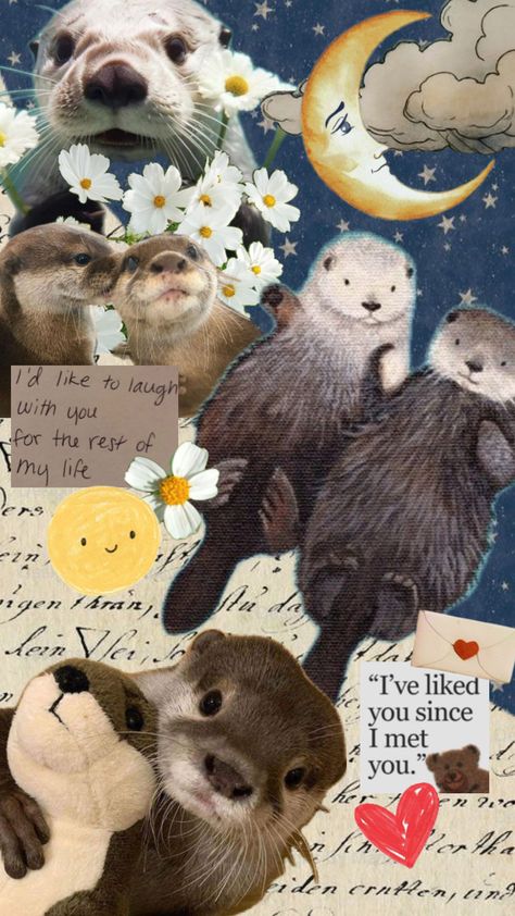 #otters #love Cute Otter Aesthetic, Otters Cute, Baby Otters, River Otter, Otters, Just For Fun, Cool Wallpaper, Cute Wallpapers, Aesthetic Wallpapers