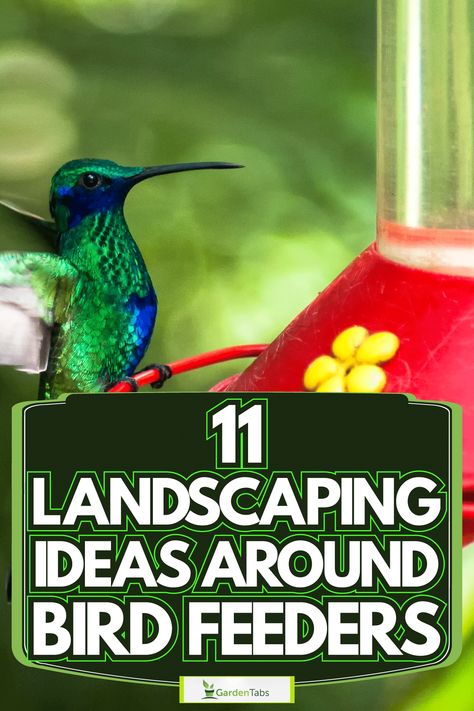 11 Landscaping Ideas Around Bird Feeders Bird Feeder Landscaping, Rustic Bird Feeders, Too Many Plants, Bird Feeder Station, Large Bird Feeders, Bird Feeder Stands, Backyard Birds Sanctuary, Backyard Birds Feeders, Make A Bird Feeder