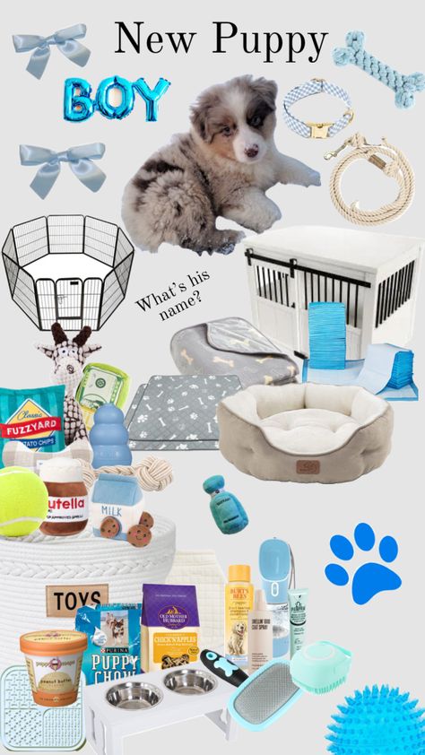 Dog Room Design, Dog Supplies List, New Puppy Checklist, Puppy Room, Cute Dog Toys, Dog Mommy, Puppy Accessories, Super Cute Puppies, Dog Ages