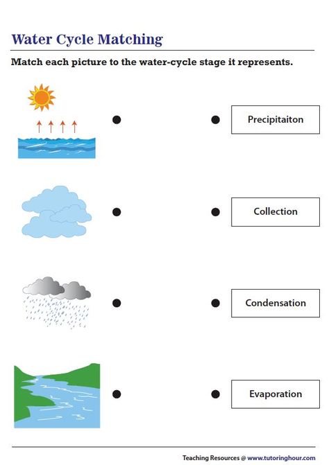 Water Cycle Craft, Water Cycle Experiment, Water Cycle Project, Water Cycle Worksheet, Water Cycle Activities, Worksheet For Class 2, Project Science, Science Experiments Kids Easy, Cycle For Kids