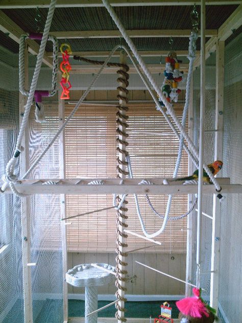 hand made aviary...inspiration Modular Fashion, Monkey Cage, Diy Bird Toys, Pet Bird Cage, Bird House Kits, Bird Aviary, Bird Stand, Parrot Cage, Diy Birds