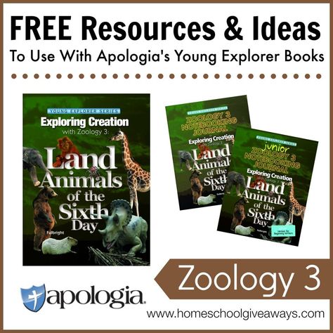 Are you using Apologia's Zoology 3 study this year? Check out these free resources to use with it! :: www.thriftyhomeschoolers.com Books Flying, Flying Creatures, Land Animals, My Father's World, Animal Science, Homeschool Printables, Science Curriculum, Science Worksheets, Science Resources