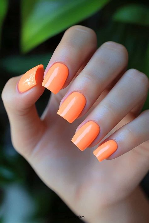 August is here, and it’s time to give my nails a fresh, summer-inspired makeover! Last August, I stumbled upon this amazing nail art that totally transformed my look. I was scrolling through Insta and saw end of summer nail designs that instantly caught my eye. I just had to try it out before the season […] Sherbert Orange Nails, Cute Summer Nails Acrylics Long, Late Summer Nails, Summer Nails Almond, Blue Nail Color, Amazing Nail Art, Orange Nail Designs, August Nails, Summer Nail Designs