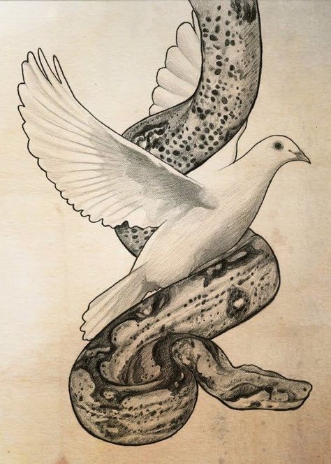 Lessons to Share: Wise As Serpents And  Harmless As Doves Sheep Among Wolves, Serpent And Dove, Symbol Tattoos With Meaning, Michael Tattoo, Spiritual Tattoo, Dove Painting, 16 Tattoo, Dove Tattoos, Serpent Tattoo