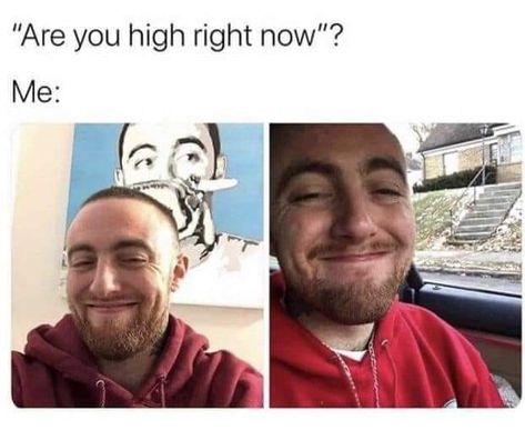 Are You High, High Quotes, Painting Mood, High Jokes, How High Are You, Doing Me Quotes, Mac Miller, Puff And Pass, Funny Relatable Quotes