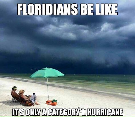 Just a Cat 1 Florida Funny, Florida Weather, Florida Girl, Morning Humor, Bones Funny, At The Beach, I Laughed, Funny Jokes, Fitness Motivation